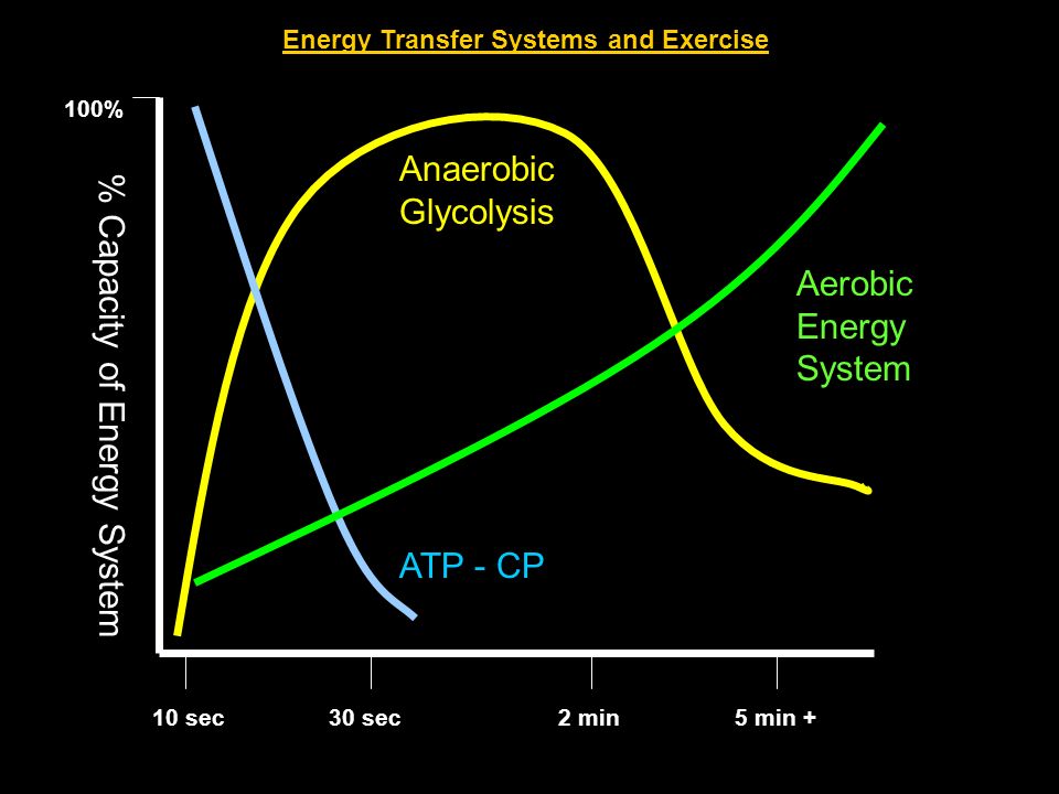 A study of the atpcp system anaerobic and the aerobic system